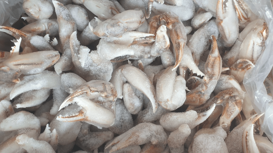 深海沙市腳40/60規格