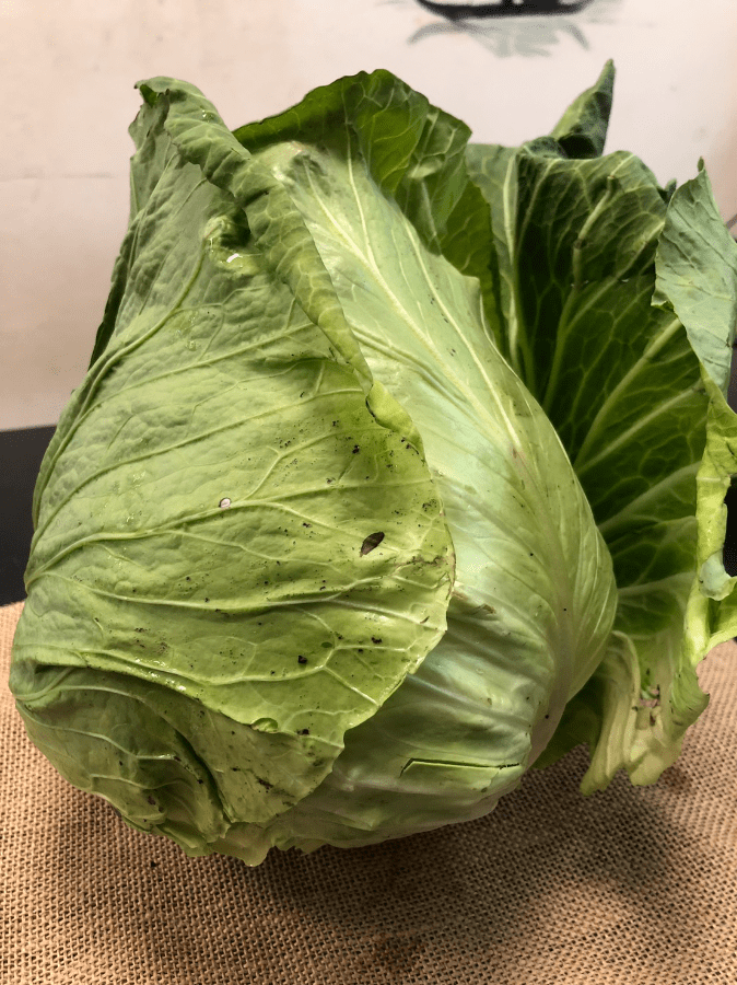 高山大禺嶺高麗菜、高山番茄