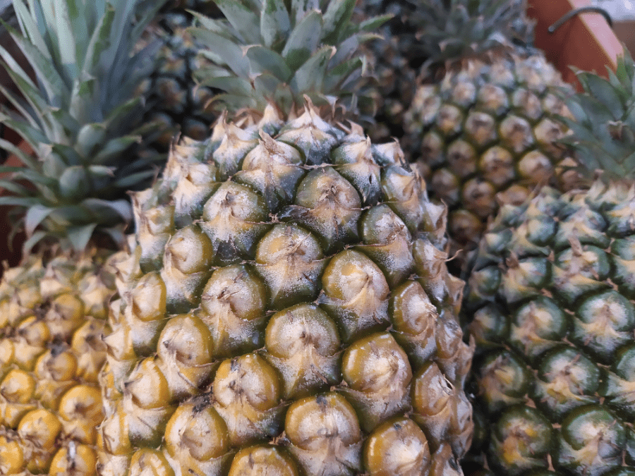 金鑽鳳梨（大果27/斤）