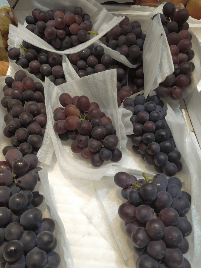 信義（巨峰）葡萄（10