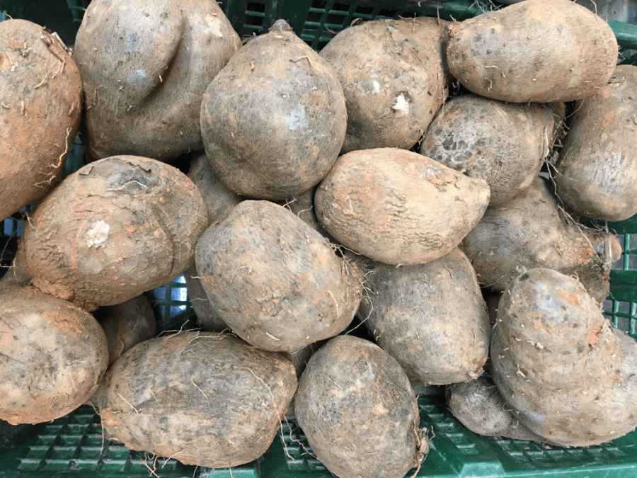 圓形山藥(最好吃)