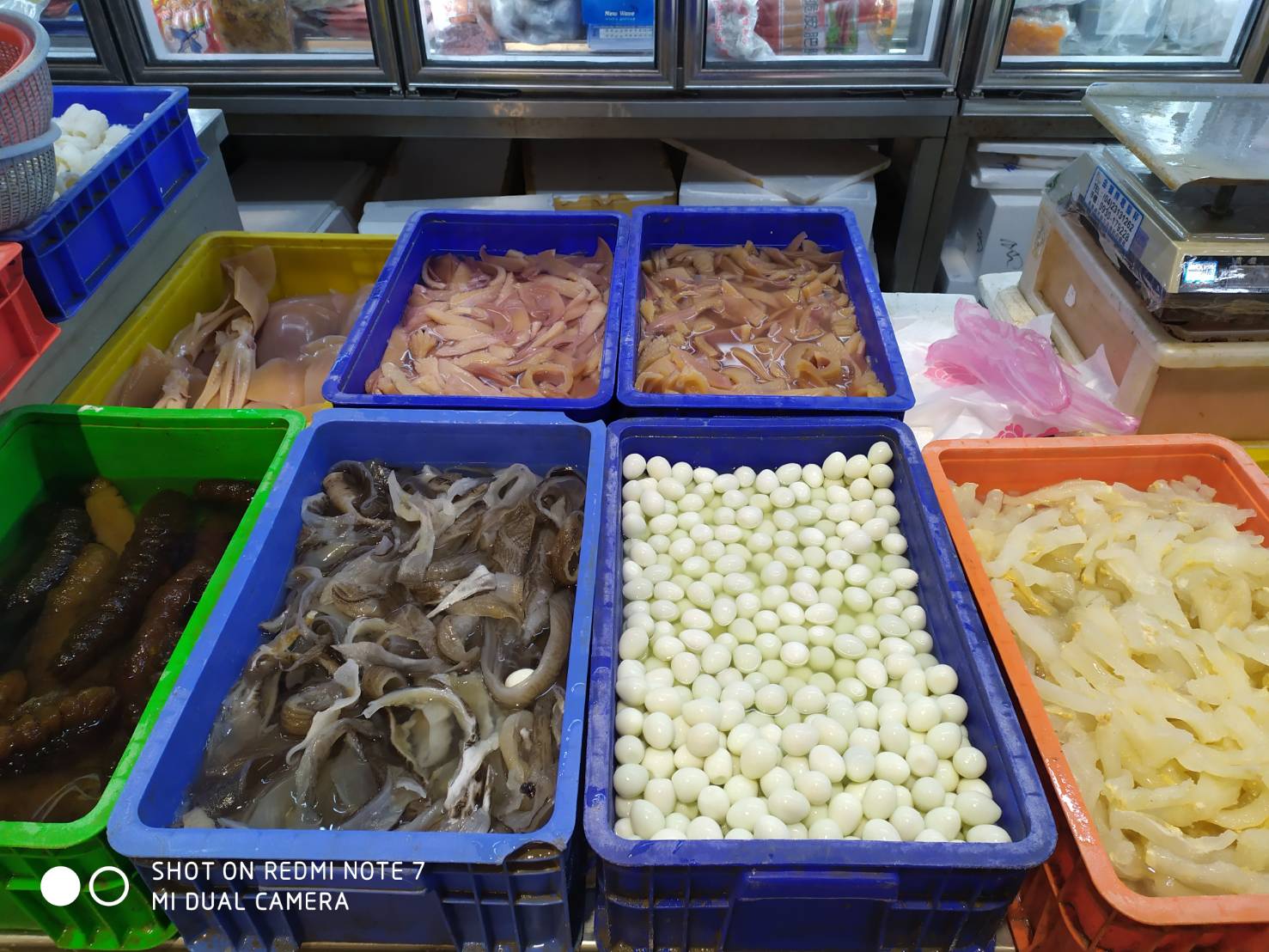 各類水產商品01