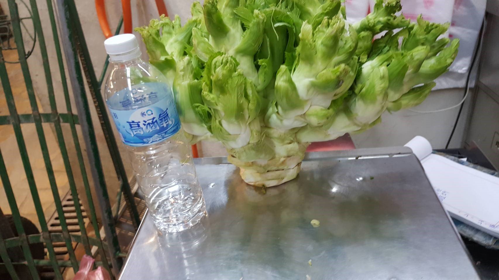 蔬菜大小比例示意