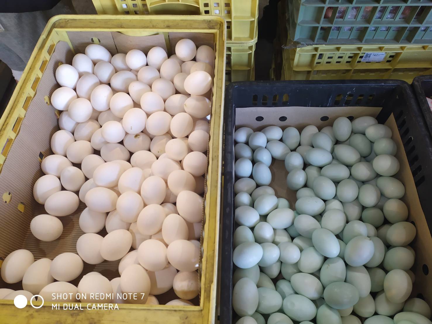 隆源米蛋-雞蛋、鹽蛋