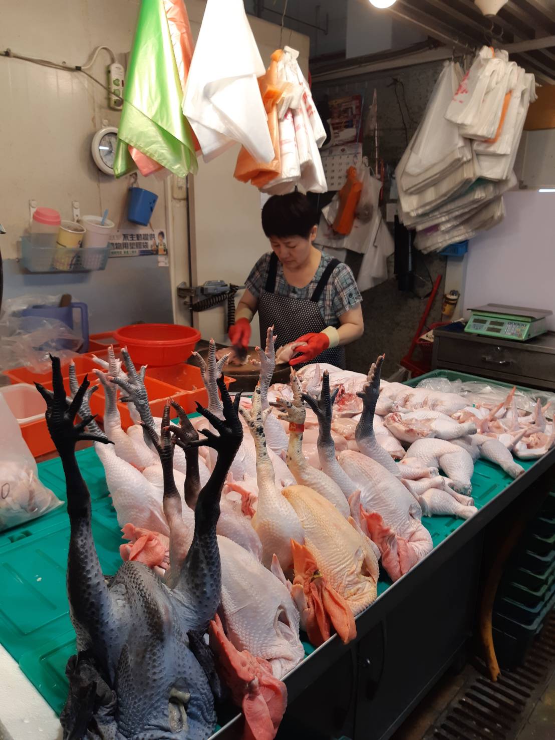 雞肉各部位處理