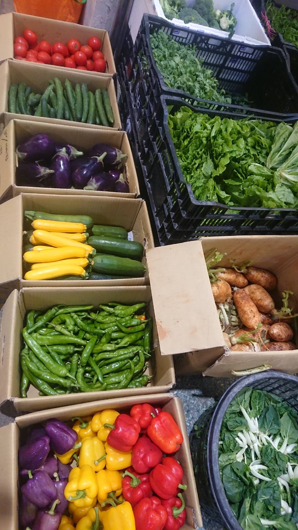 各式新鮮蔬果03