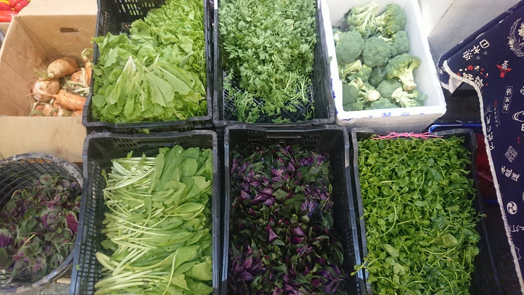 各式新鮮蔬果04