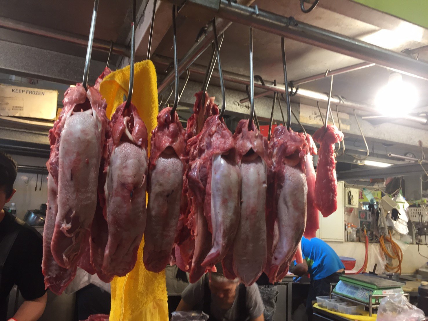 豬肉部位展示02