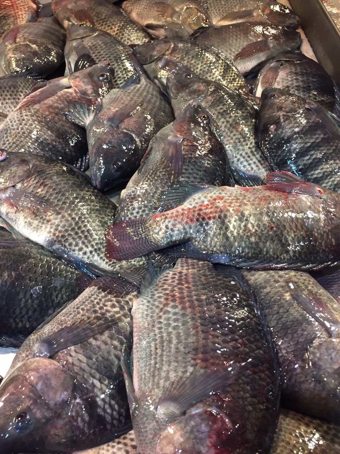 目前無此圖片描述