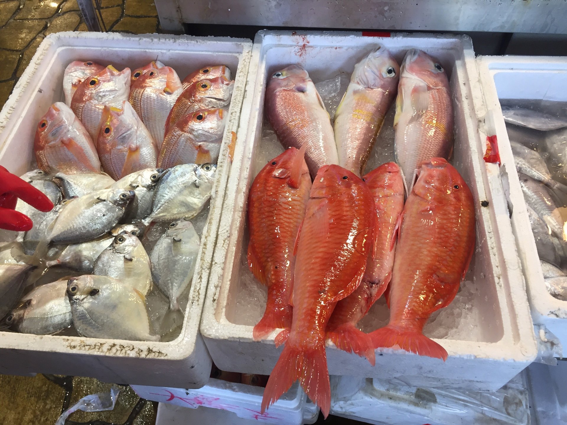 各式魚貨02