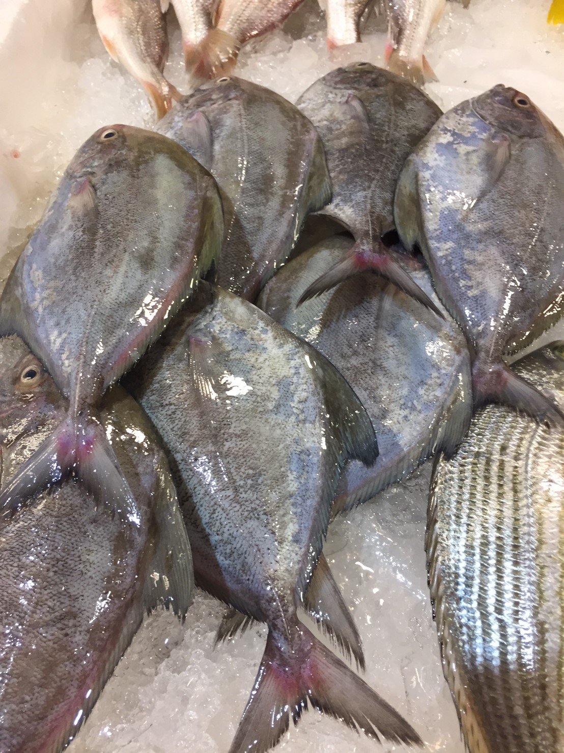 目前無此圖片描述