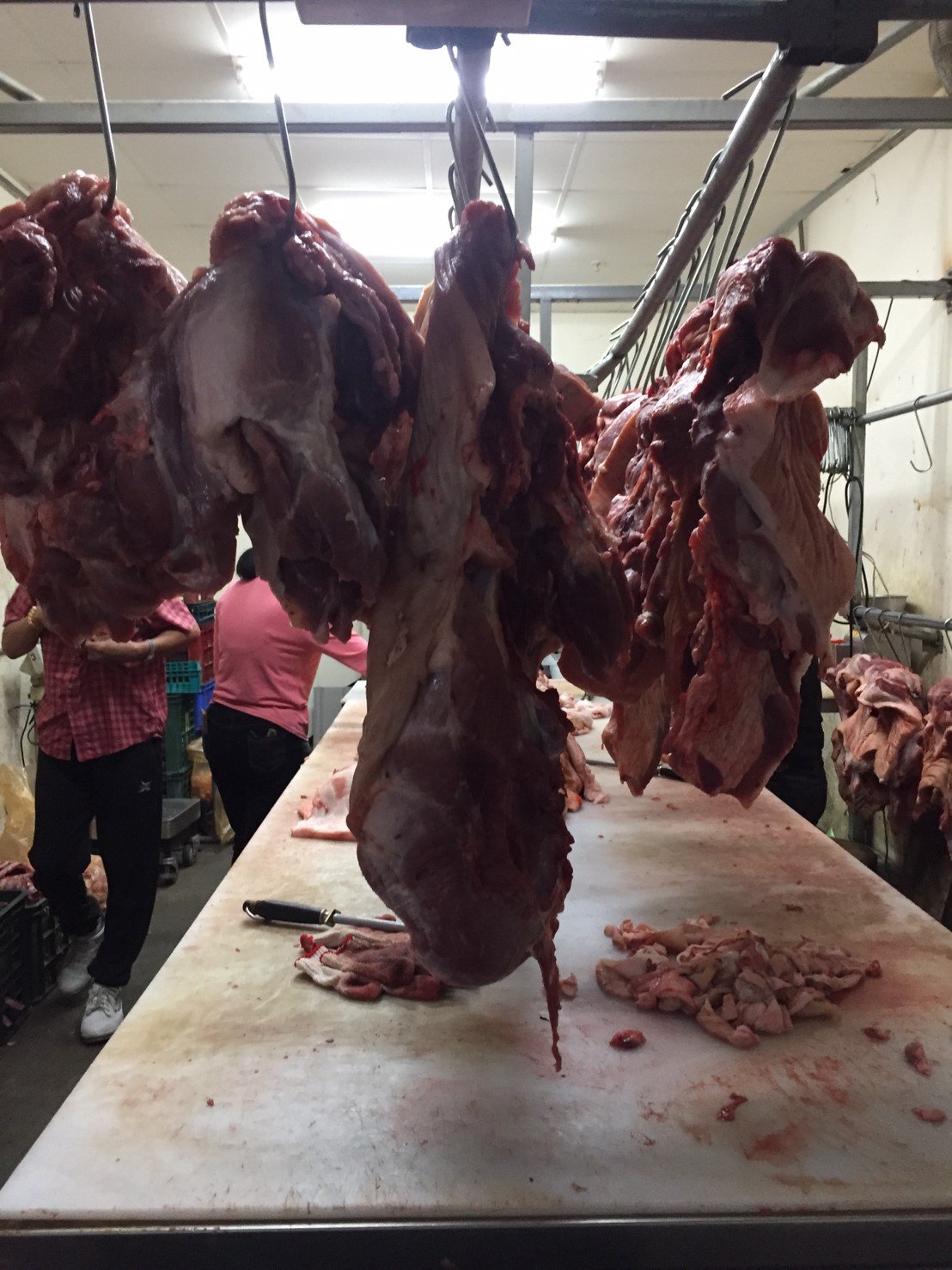 各式豬部位現宰分裝