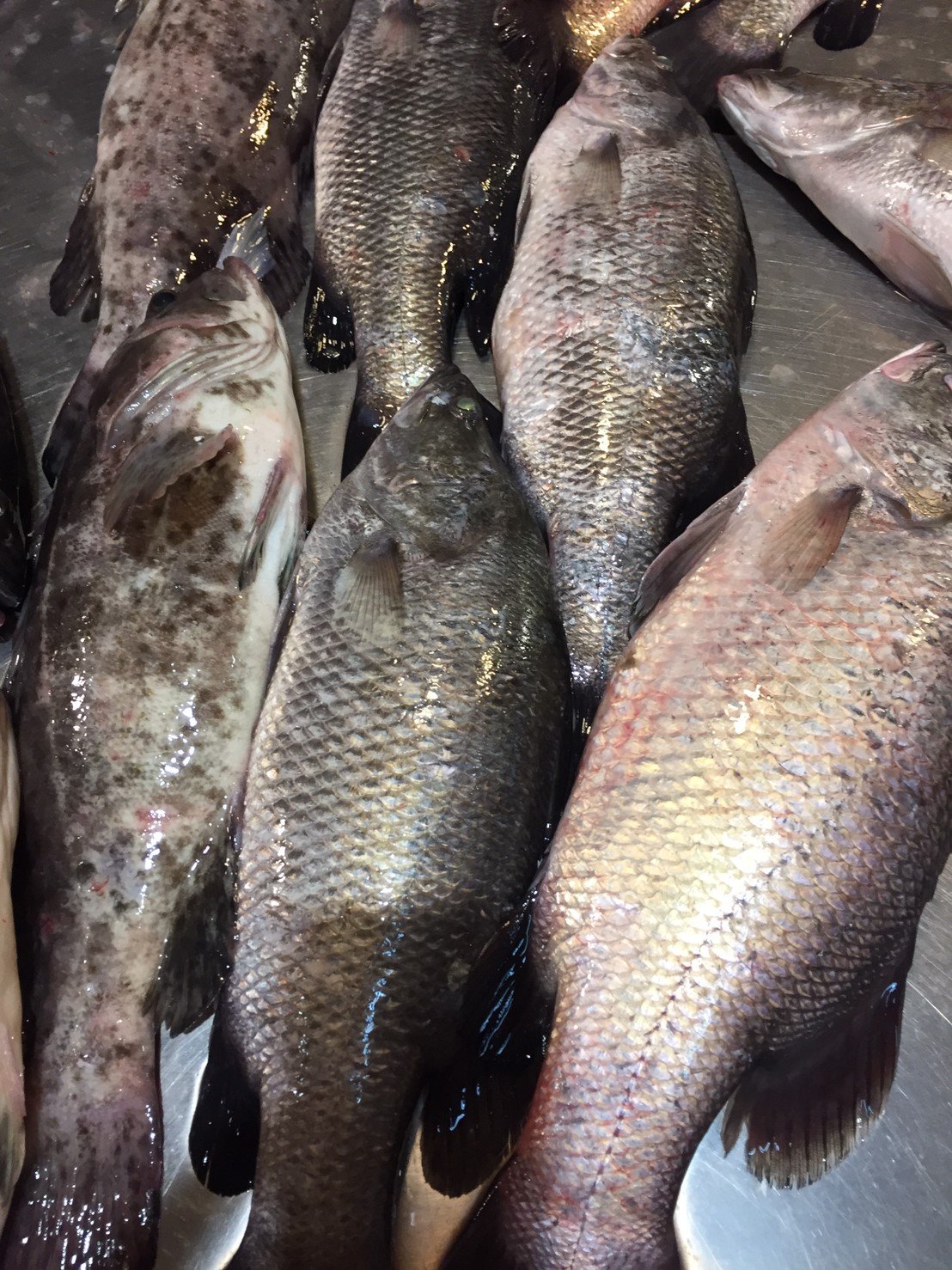 目前無此圖片描述