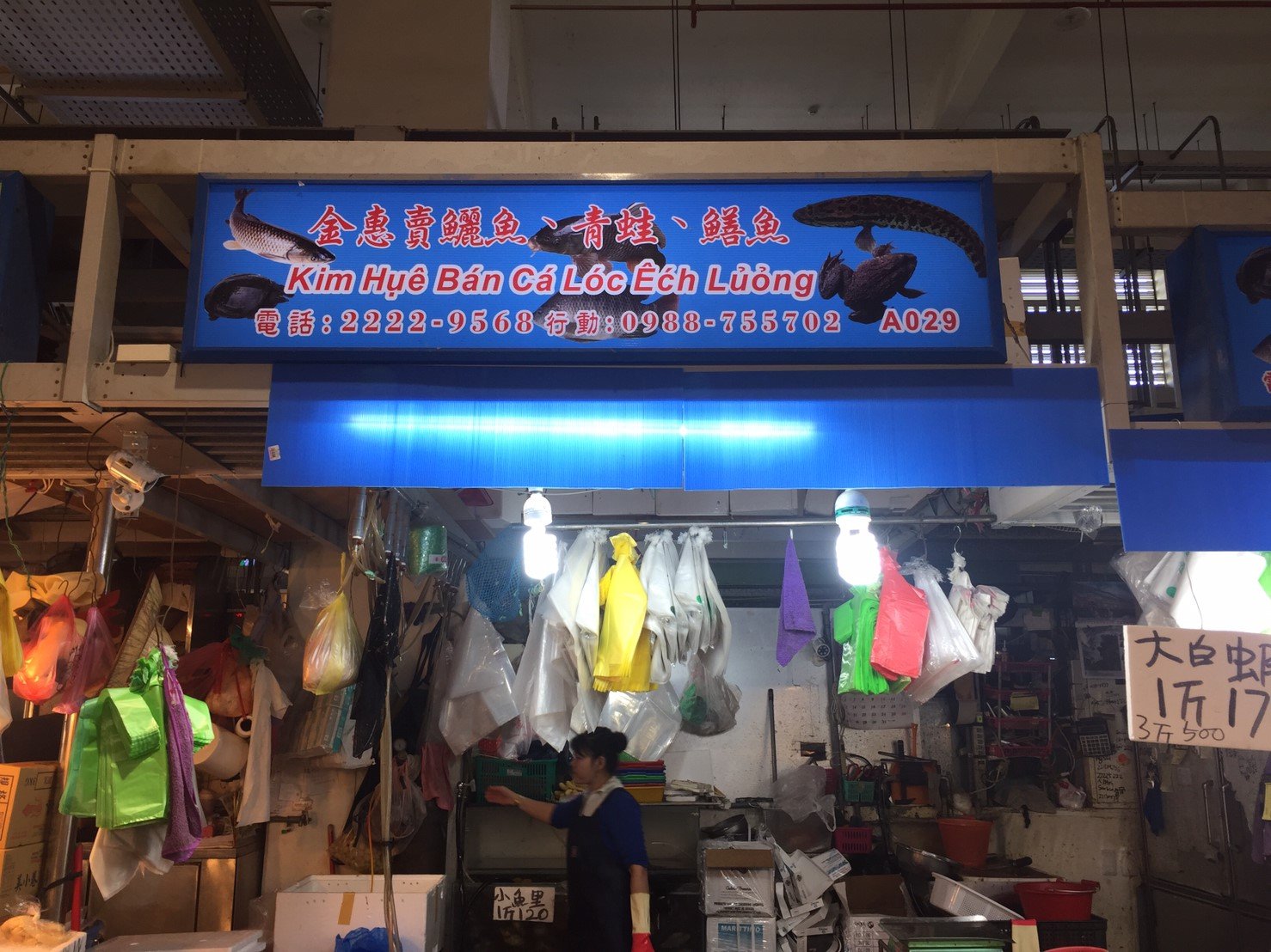 振豪淡水魚門面