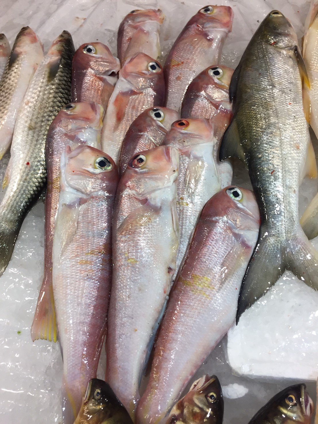 目前無此圖片描述