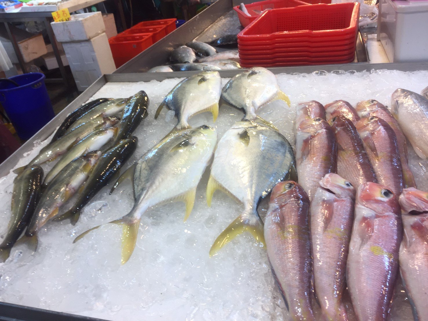 各式新鮮海魚(白鯧)