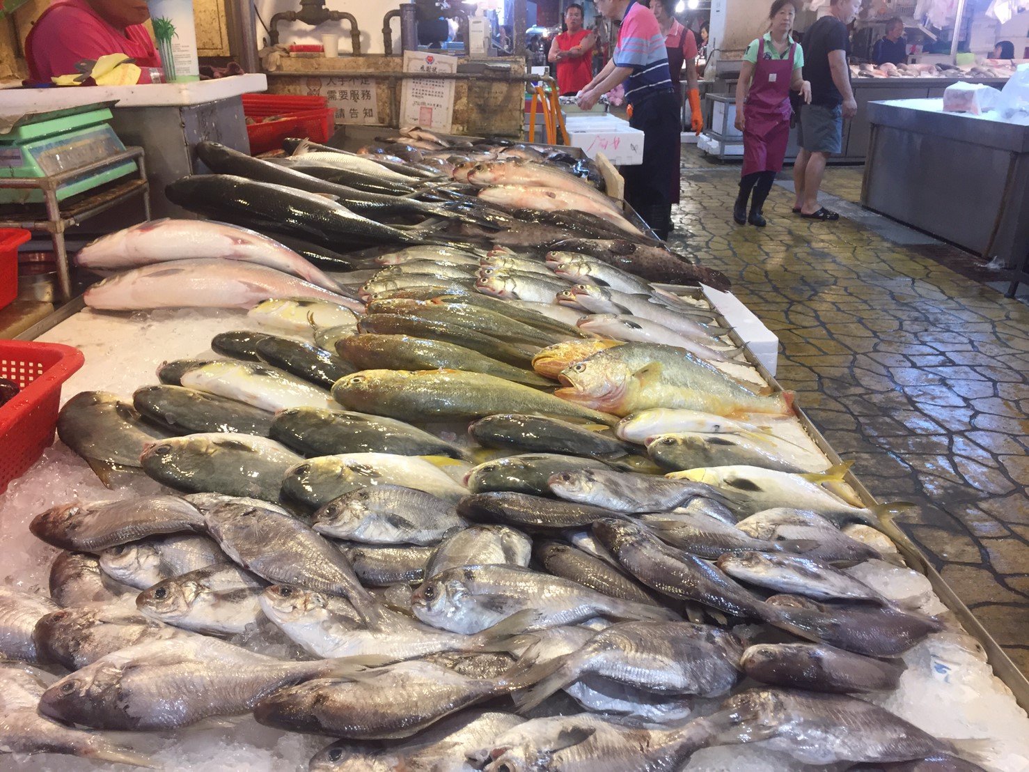 國際水產物流平價中心