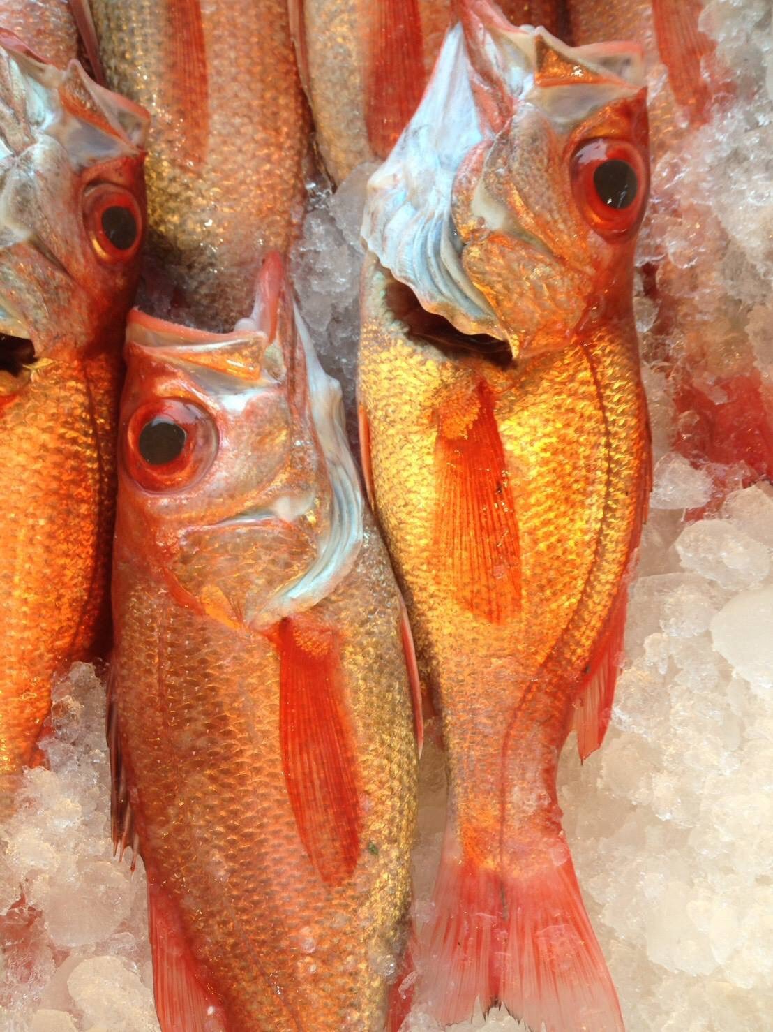 紅目鰱(剝魚皮)02