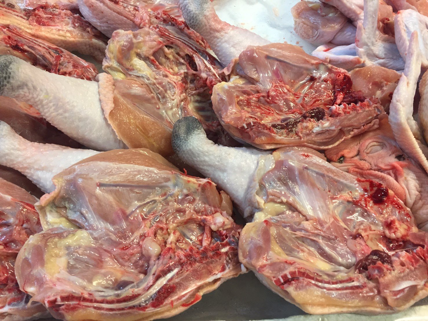 肉雞各部位處理