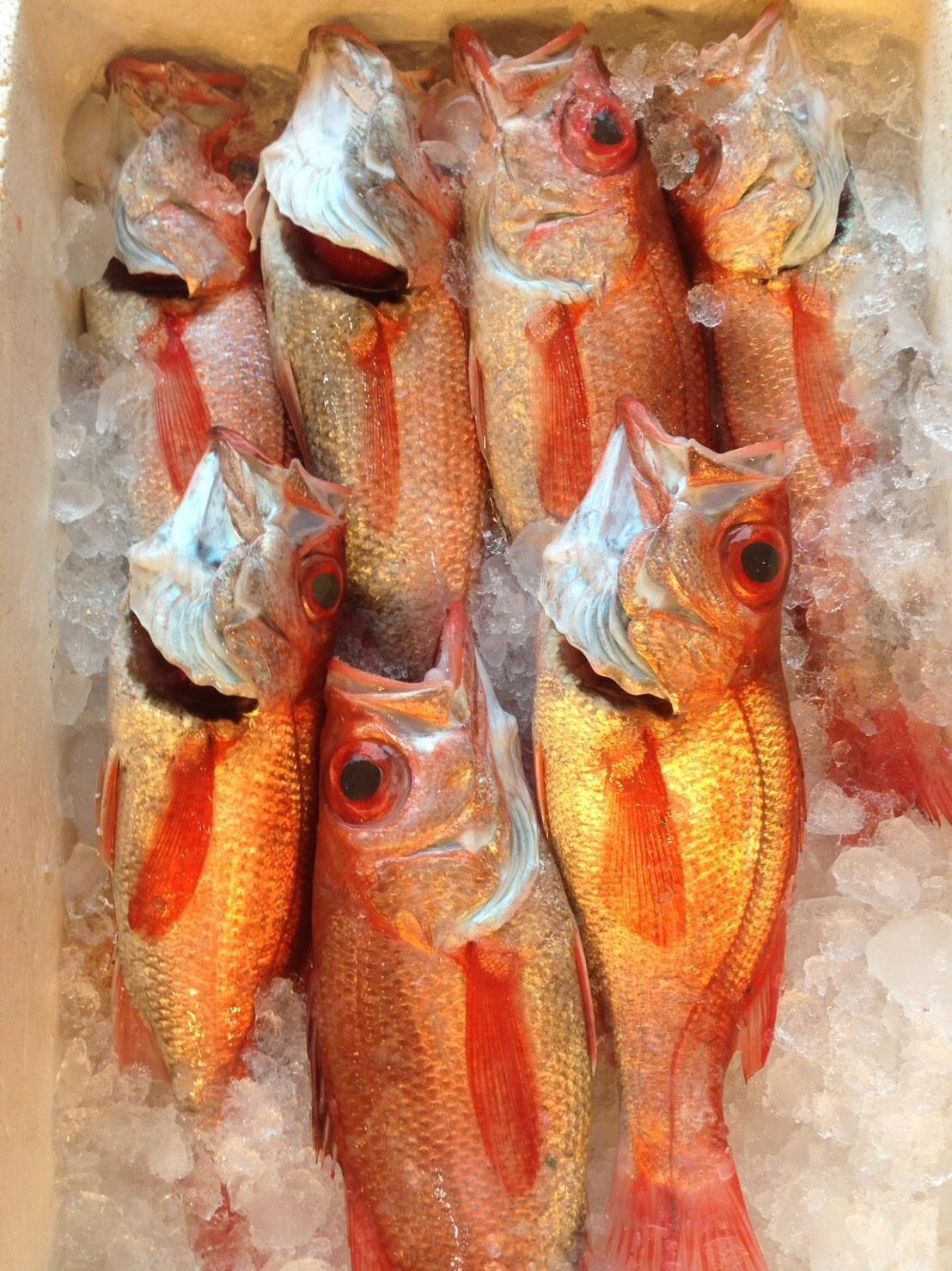 紅目鰱(剝魚皮)01