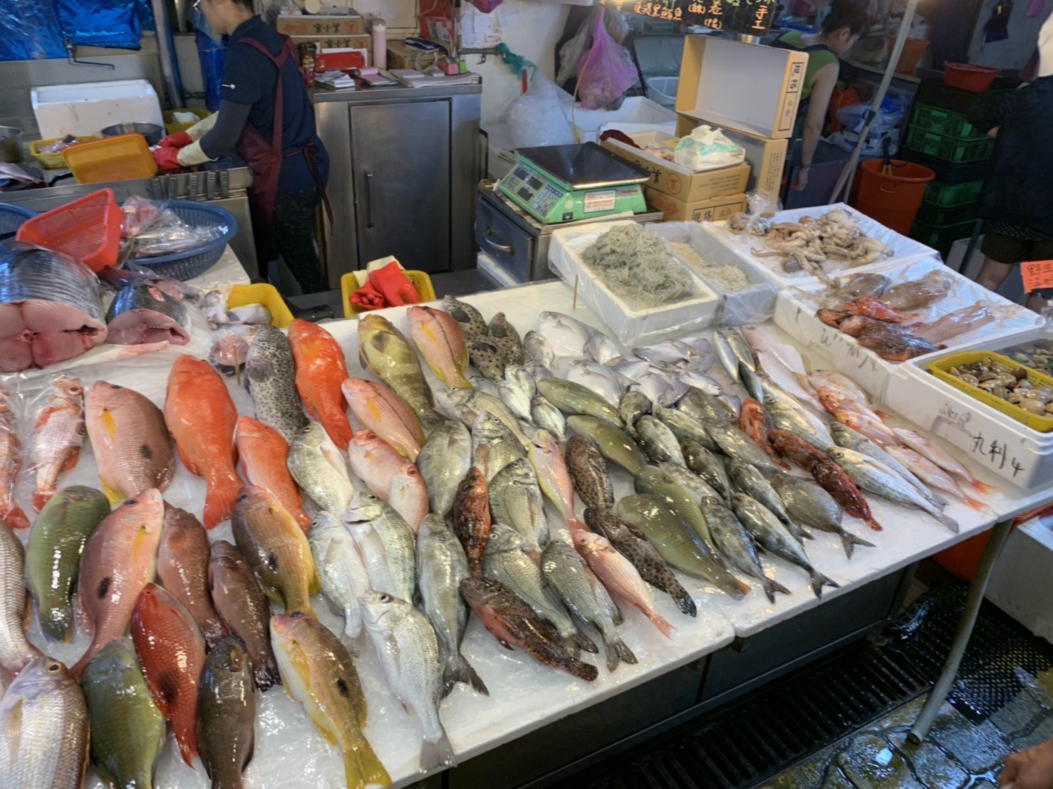 店內各式新鮮魚貨01