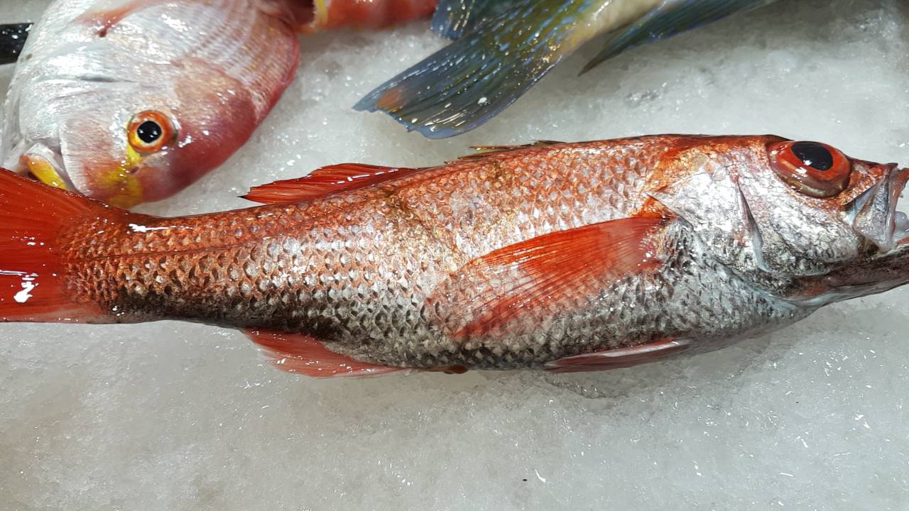 當季海魚-金目鰱