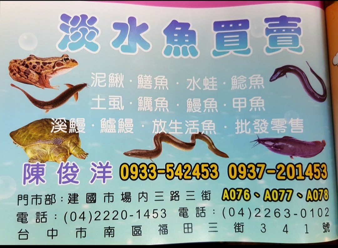 淡水魚買賣名片