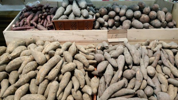 目前無此圖片描述