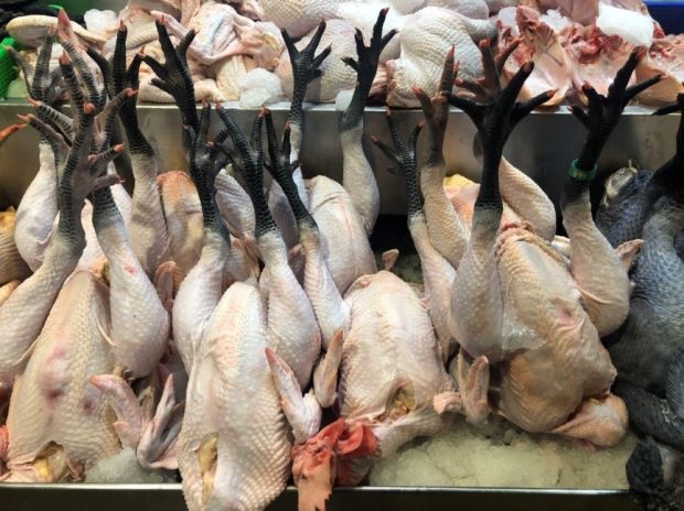 目前無此圖片描述