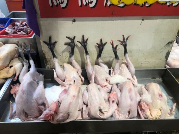 目前無此圖片描述