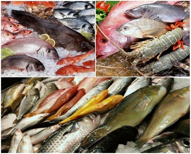 目前無此圖片描述