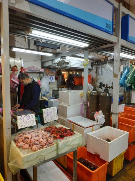 目前無此圖片描述