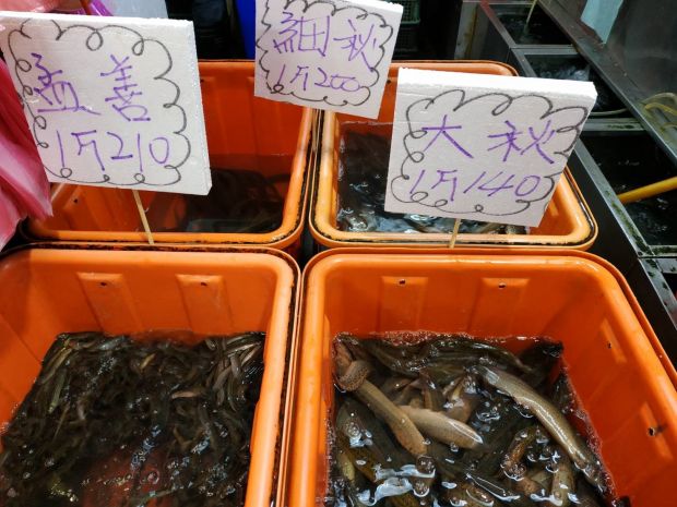 目前無此圖片描述