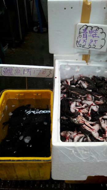 目前無此圖片描述