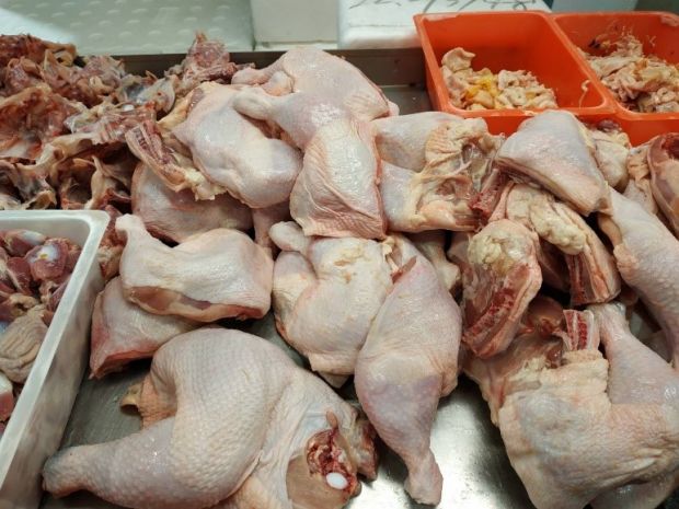 目前無此圖片描述