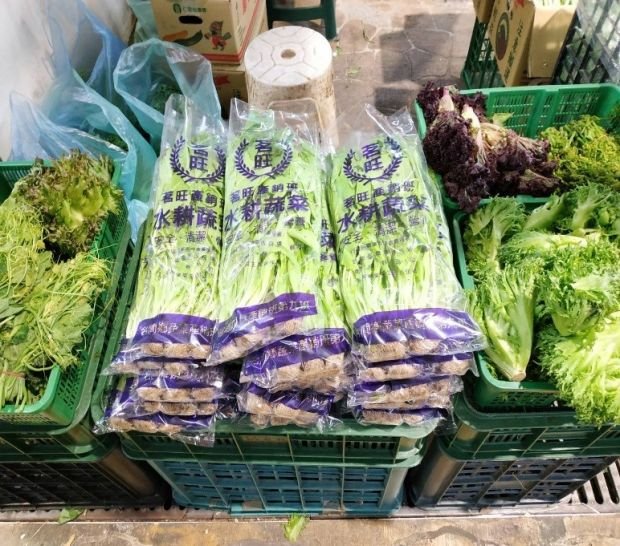 目前無此圖片描述