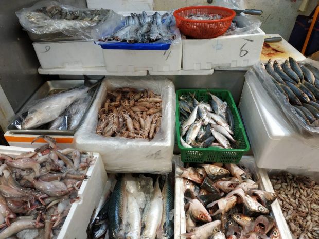 目前無此圖片描述