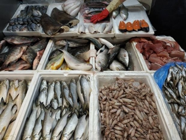 目前無此圖片描述