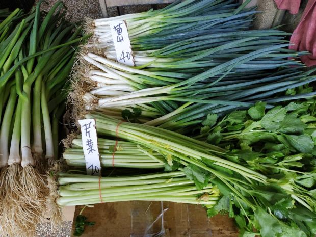 目前無此圖片描述