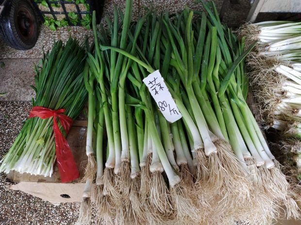 目前無此圖片描述