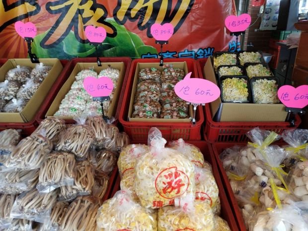 目前無此圖片描述