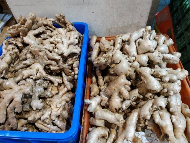 目前無此圖片描述