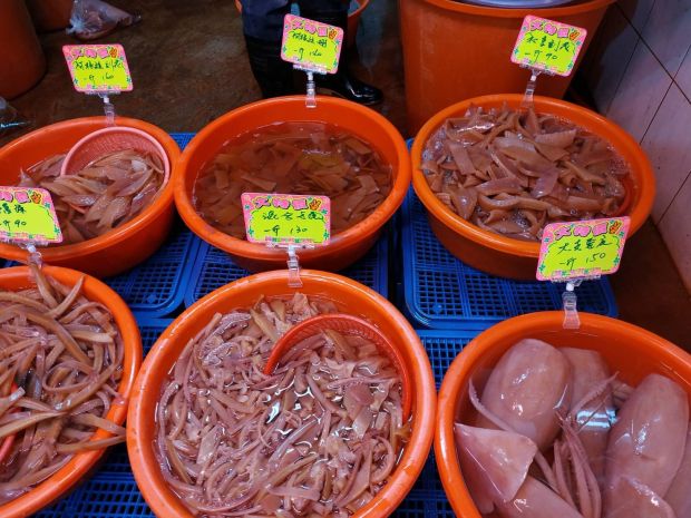 目前無此圖片描述