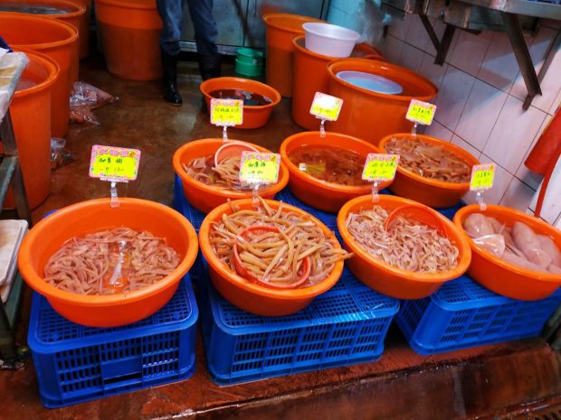 目前無此圖片描述