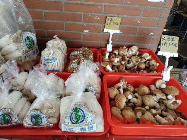 目前無此圖片描述