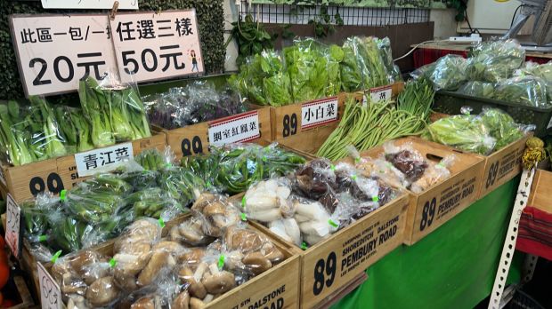 目前無此圖片描述